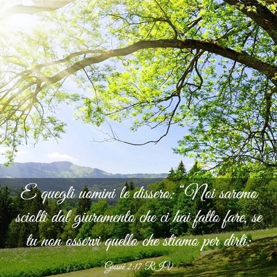 Picture 03 - Giosué 2:17 RIV - E quegli uomini le dissero: “Noi saremo sciolti - Bible Verse Picture