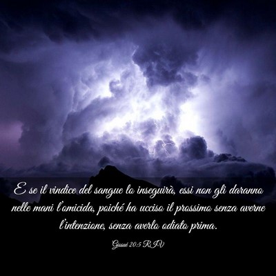 Picture 03 - Giosué 20:5 RIV - E se il vindice del sangue lo inseguirà, essi - Bible Verse Picture