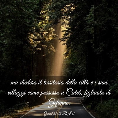 Picture 03 - Giosué 21:12 RIV - ma diedero il territorio della città e i suoi - Bible Verse Picture