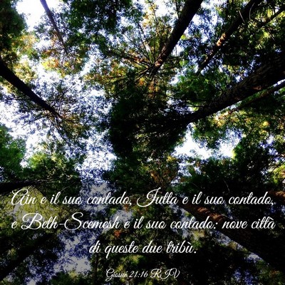 Picture 03 - Giosué 21:16 RIV - Ain e il suo contado, Iutta e il suo contado, e - Bible Verse Picture