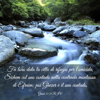 Picture 03 - Giosué 21:21 RIV - Fu loro data la città di rifugio per - Bible Verse Picture