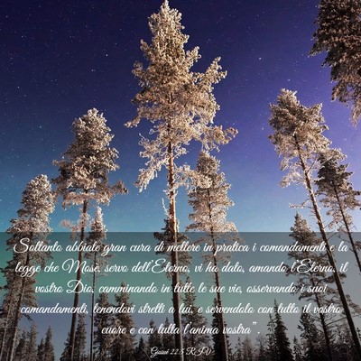 Picture 03 - Giosué 22:5 RIV - Soltanto abbiate gran cura di mettere in pratica - Bible Verse Picture