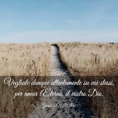 Picture 03 - Giosué 23:11 RIV - Vegliate dunque attentamente su voi stessi, per - Bible Verse Picture