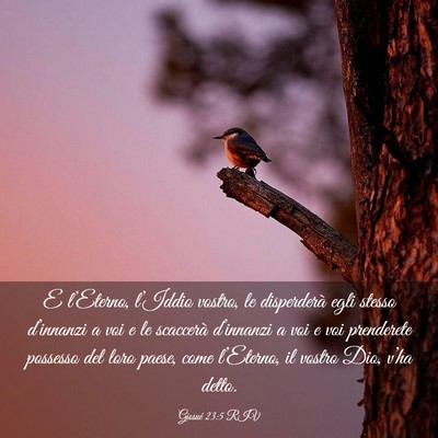 Picture 03 - Giosué 23:5 RIV - E l’Eterno, l’Iddio vostro, le disperderà - Bible Verse Picture