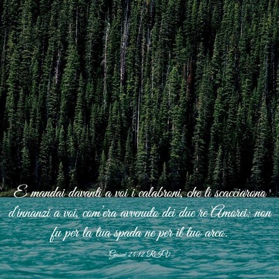 Picture 03 - Giosué 24:12 RIV - E mandai davanti a voi i calabroni, che li - Bible Verse Picture