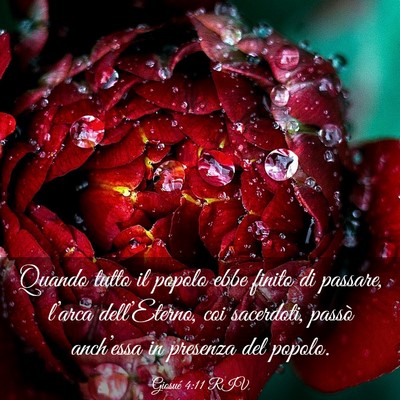 Picture 03 - Giosué 4:11 RIV - Quando tutto il popolo ebbe finito di passare, - Bible Verse Picture