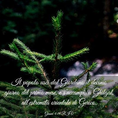 Picture 03 - Giosué 4:19 RIV - Il popolo uscì dal Giordano il decimo giorno del - Bible Verse Picture