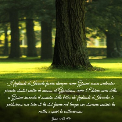 Picture 03 - Giosué 4:8 RIV - I figliuoli d’Israele fecero dunque come - Bible Verse Picture