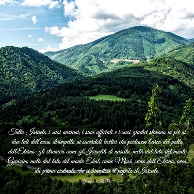 Picture 03 - Giosué 8:33 RIV - Tutto Israele, i suoi anziani, i suoi ufficiali e - Bible Verse Picture
