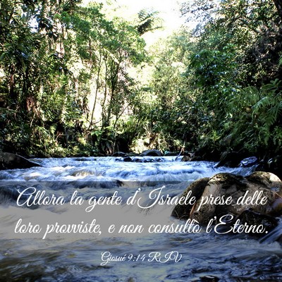 Picture 03 - Giosué 9:14 RIV - Allora la gente d’Israele prese delle loro - Bible Verse Picture