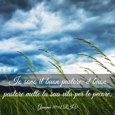 Picture 03 - Giovanni 10:11 RIV - Io sono il buon pastore; il buon pastore mette la - Bible Verse Picture