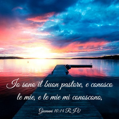 Picture 03 - Giovanni 10:14 RIV - Io sono il buon pastore, e conosco le mie, e le - Bible Verse Picture