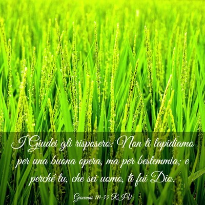 Picture 03 - Giovanni 10:33 RIV - I Giudei gli risposero: Non ti lapidiamo per una - Bible Verse Picture