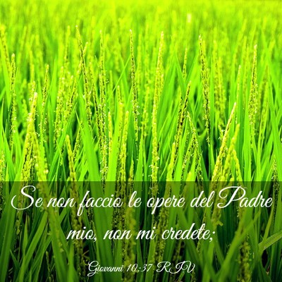 Picture 03 - Giovanni 10:37 RIV - Se non faccio le opere del Padre mio, non mi - Bible Verse Picture