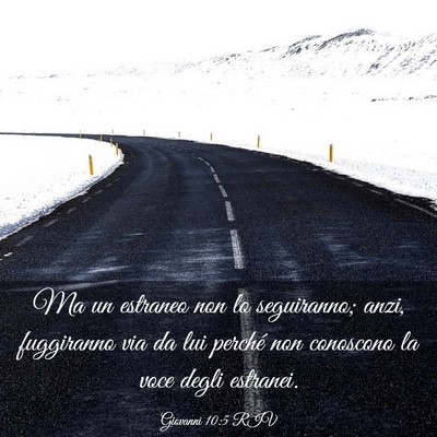 Picture 03 - Giovanni 10:5 RIV - Ma un estraneo non lo seguiranno; anzi, - Bible Verse Picture