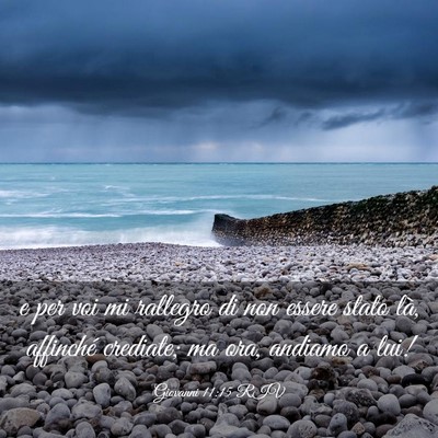 Picture 03 - Giovanni 11:15 RIV - e per voi mi rallegro di non essere stato là, - Bible Verse Picture