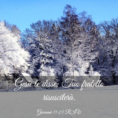Picture 03 - Giovanni 11:23 RIV - Gesù le disse: Tuo fratello - Bible Verse Picture