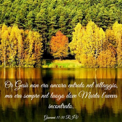 Picture 03 - Giovanni 11:30 RIV - Or Gesù non era ancora entrato nel villaggio, ma - Bible Verse Picture