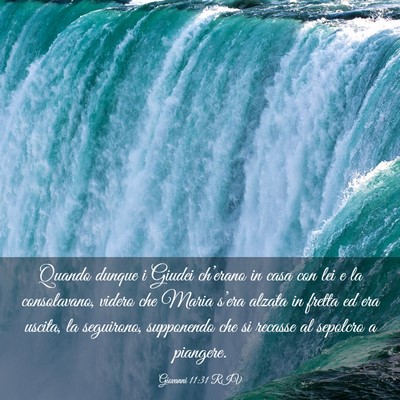 Picture 03 - Giovanni 11:31 RIV - Quando dunque i Giudei ch’erano in casa con lei - Bible Verse Picture