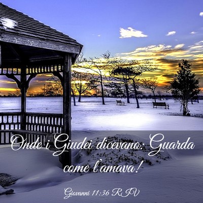 Picture 03 - Giovanni 11:36 RIV - Onde i Giudei dicevano: Guarda come - Bible Verse Picture