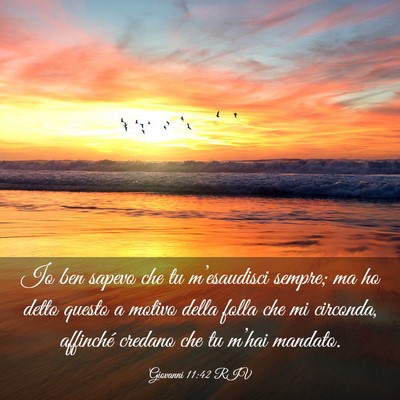 Picture 03 - Giovanni 11:42 RIV - Io ben sapevo che tu m’esaudisci sempre; ma ho - Bible Verse Picture