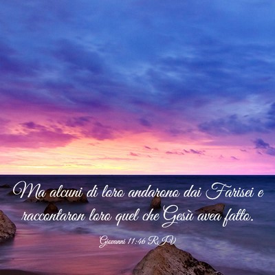 Picture 03 - Giovanni 11:46 RIV - Ma alcuni di loro andarono dai Farisei e - Bible Verse Picture
