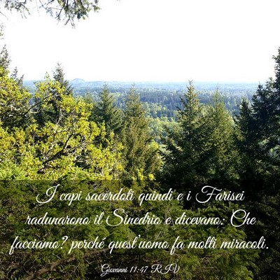 Picture 03 - Giovanni 11:47 RIV - I capi sacerdoti quindi e i Farisei radunarono il - Bible Verse Picture