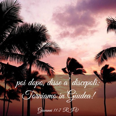 Picture 03 - Giovanni 11:7 RIV - poi dopo, disse a’ discepoli: Torniamo in - Bible Verse Picture