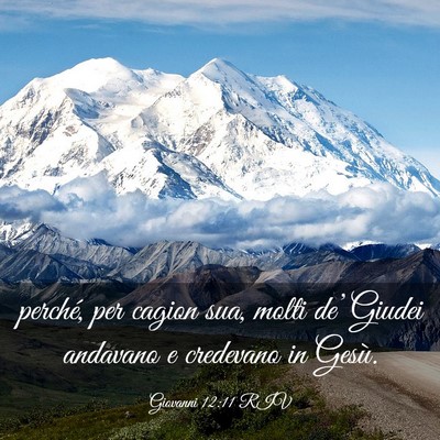 Picture 03 - Giovanni 12:11 RIV - perché, per cagion sua, molti de’ Giudei - Bible Verse Picture