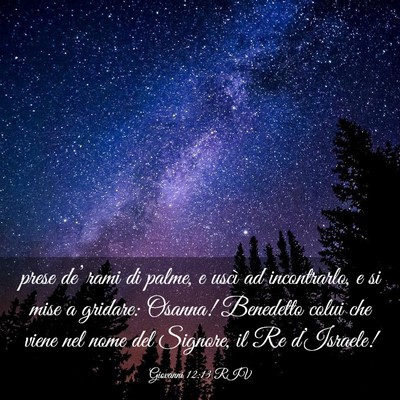 Picture 03 - Giovanni 12:13 RIV - prese de’ rami di palme, e uscì ad - Bible Verse Picture