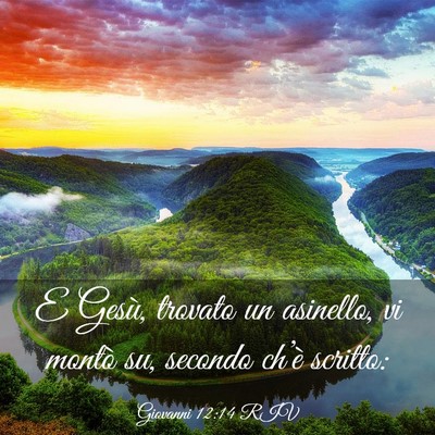 Picture 03 - Giovanni 12:14 RIV - E Gesù, trovato un asinello, vi montò su, - Bible Verse Picture