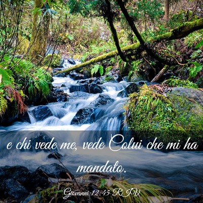 Picture 03 - Giovanni 12:45 RIV - e chi vede me, vede Colui che mi ha - Bible Verse Picture