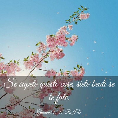 Picture 03 - Giovanni 13:17 RIV - Se sapete queste cose, siete beati se le - Bible Verse Picture