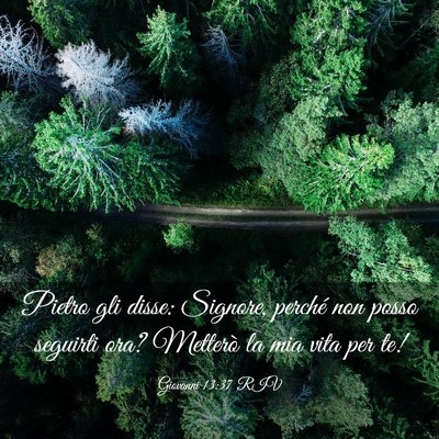 Picture 03 - Giovanni 13:37 RIV - Pietro gli disse: Signore, perché non posso - Bible Verse Picture