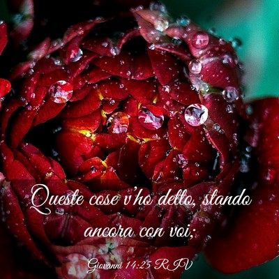 Picture 03 - Giovanni 14:25 RIV - Queste cose v’ho detto, stando ancora con - Bible Verse Picture
