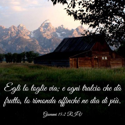 Picture 03 - Giovanni 15:2 RIV - Egli lo toglie via; e ogni tralcio che dà - Bible Verse Picture