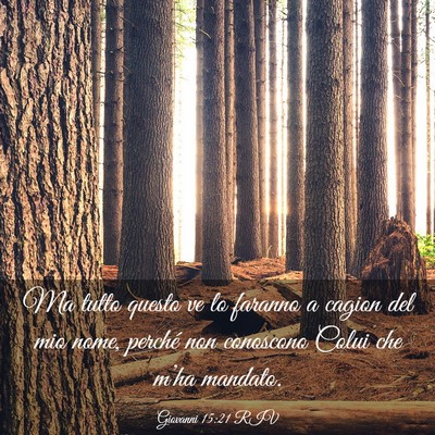 Picture 03 - Giovanni 15:21 RIV - Ma tutto questo ve lo faranno a cagion del mio - Bible Verse Picture