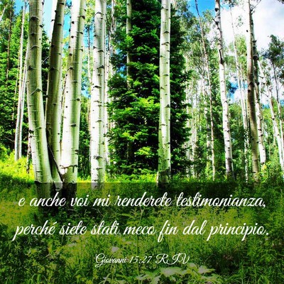 Picture 03 - Giovanni 15:27 RIV - e anche voi mi renderete testimonianza, perché - Bible Verse Picture