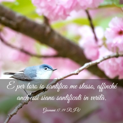 Picture 03 - Giovanni 17:19 RIV - E per loro io santifico me stesso, affinché - Bible Verse Picture
