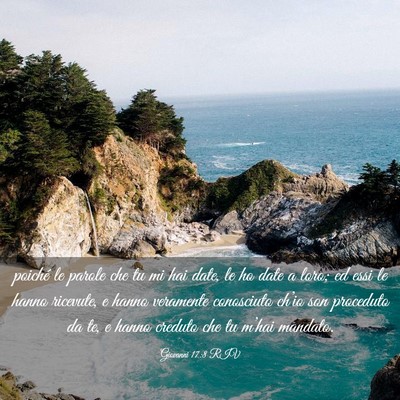 Picture 03 - Giovanni 17:8 RIV - poiché le parole che tu mi hai date, le ho date - Bible Verse Picture