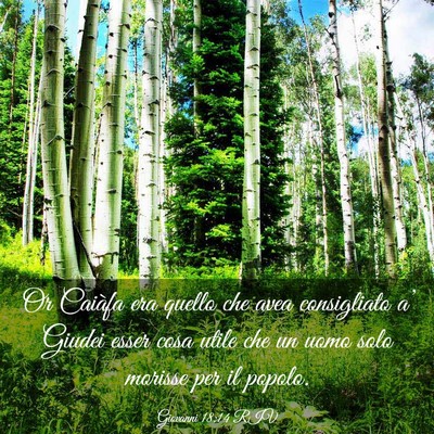 Picture 03 - Giovanni 18:14 RIV - Or Caiàfa era quello che avea consigliato a’ - Bible Verse Picture