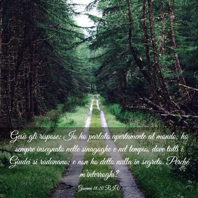 Picture 03 - Giovanni 18:20 RIV - Gesù gli rispose: Io ho parlato apertamente al - Bible Verse Picture