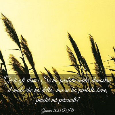 Picture 03 - Giovanni 18:23 RIV - Gesù gli disse: Se ho parlato male, dimostra il - Bible Verse Picture