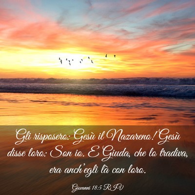 Picture 03 - Giovanni 18:5 RIV - Gli risposero: Gesù il Nazareno! Gesù disse - Bible Verse Picture