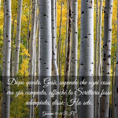 Picture 03 - Giovanni 19:28 RIV - Dopo questo, Gesù, sapendo che ogni cosa era - Bible Verse Picture