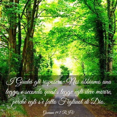 Picture 03 - Giovanni 19:7 RIV - I Giudei gli risposero: Noi abbiamo una legge, e - Bible Verse Picture