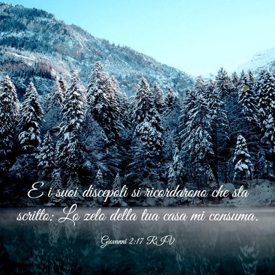 Picture 03 - Giovanni 2:17 RIV - E i suoi discepoli si ricordarono che sta - Bible Verse Picture