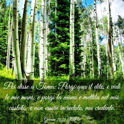 Picture 03 - Giovanni 20:27 RIV - Poi disse a Toma: Porgi qua il dito, e vedi le - Bible Verse Picture