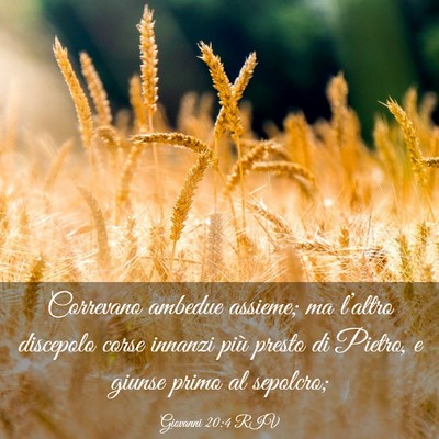 Picture 03 - Giovanni 20:4 RIV - Correvano ambedue assieme; ma l’altro discepolo - Bible Verse Picture