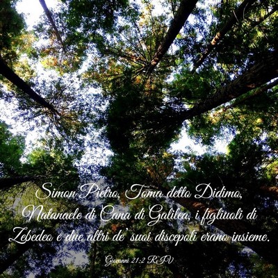Picture 03 - Giovanni 21:2 RIV - Simon Pietro, Toma detto Didimo, Natanaele di - Bible Verse Picture